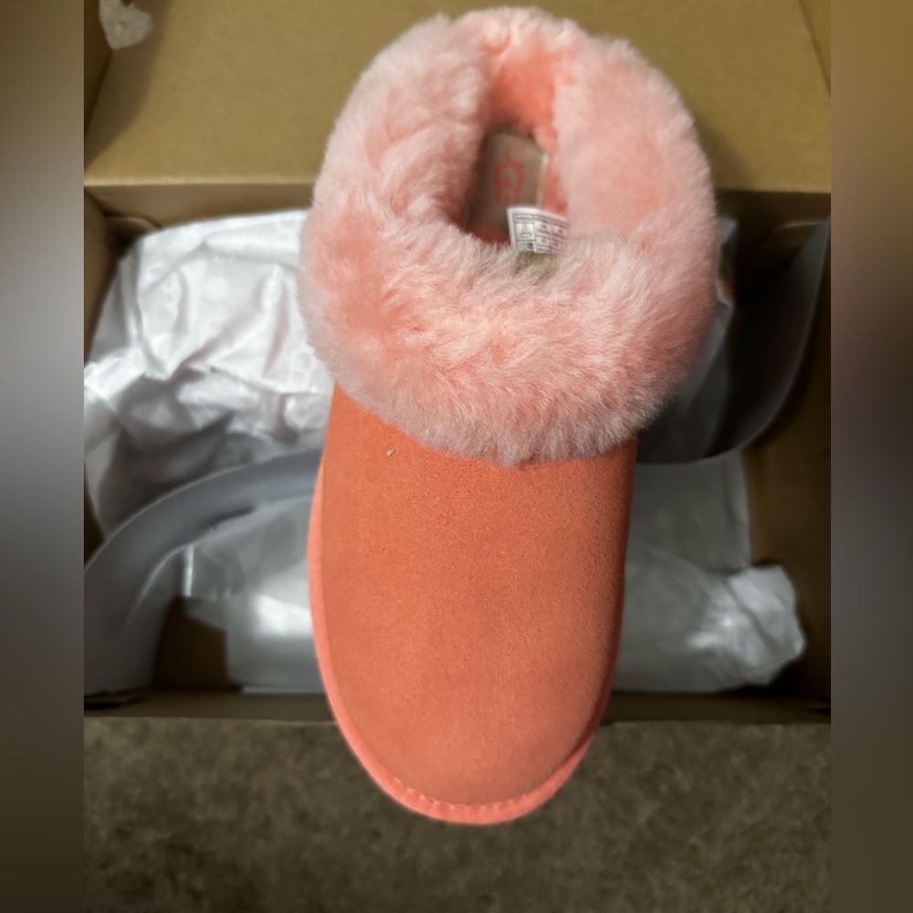 Uggs slippers